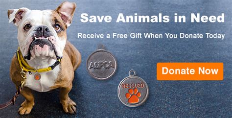 Donate | ASPCA