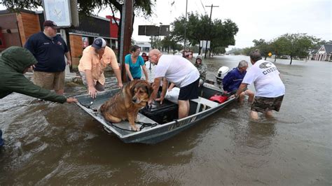 Hurricane Harvey victims: How to help - ABC News