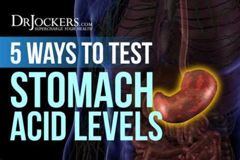 5 Ways to Test Your Stomach Acid Levels - DrJockers.com