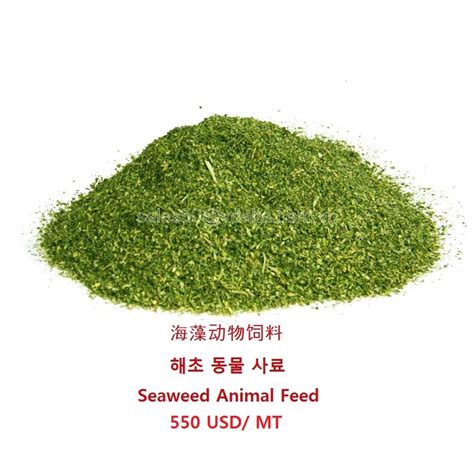 Dried Eucheuma Spinosum Seaweed High Quality - Buy Eucheuma Cottonii ...