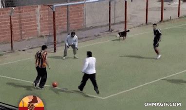 Dog Football GIF - Find & Share on GIPHY