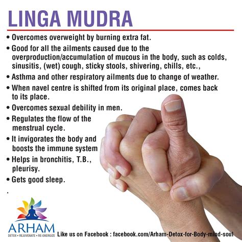 LINGA MUDRA Linga is... - Arham. Detox for Body-mind-soul. | Facebook