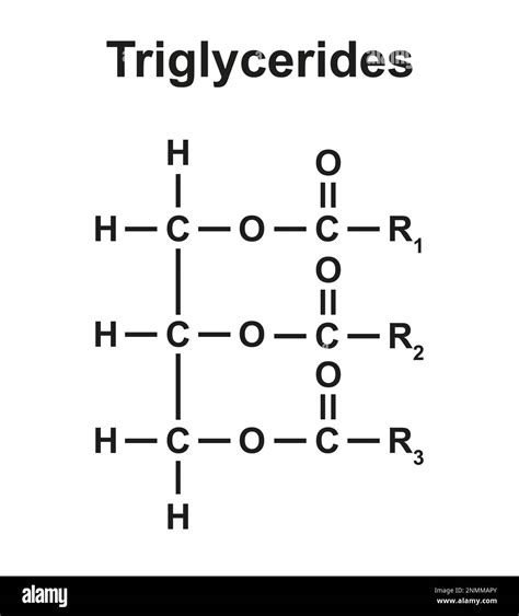 Triglyceride structure, Illustration Stock Photo - Alamy