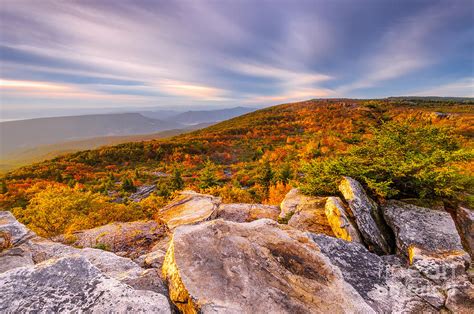 Dolly Sods Wilderness D30019853 Photograph by Kevin Funk - Fine Art America