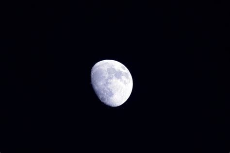 Free Images : black and white, night, atmosphere, dark, full moon, moonlight, circle ...