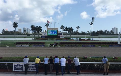 Today’s Free Gulfstream Park Winning Horse Picks [2024]