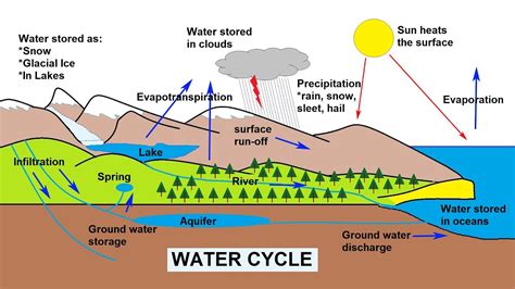 The Water Cycle Explained - YouTube