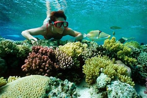 Red Sea Full-Day Snorkeling Tour from Luxor 2024