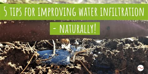 Five tips for improving water infiltration | Biocast