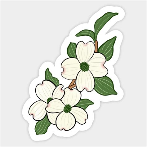 Flowering Dogwood North Carolina State Flower - Flowering Dogwood ...