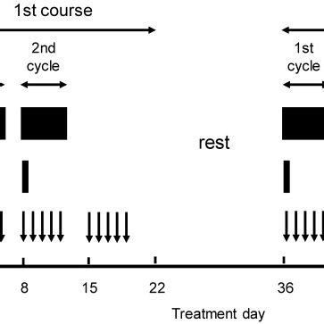 Treatment schedule of a definitive 5-FU/CDDP-based chemoradiotherapy ...