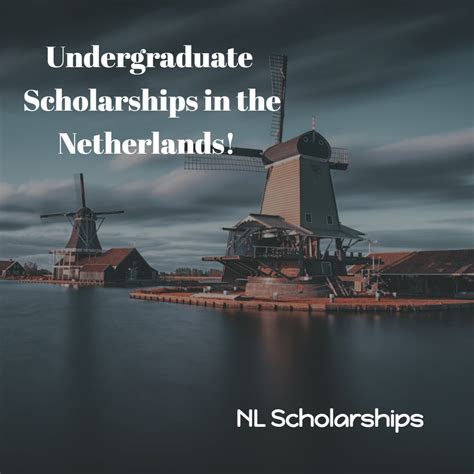 NL Scholarship - International Scholarships