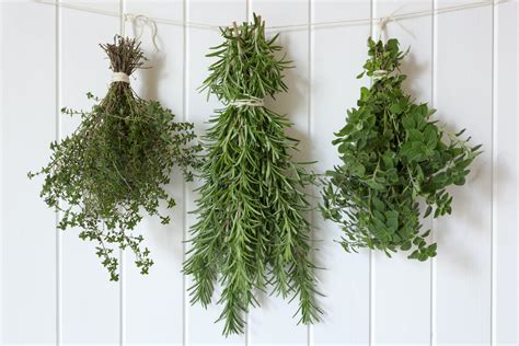 Dry Fresh Herbs Now to Enjoy All Fall and Winter | Well+Good