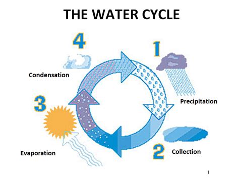 Steps Of Water Cycle