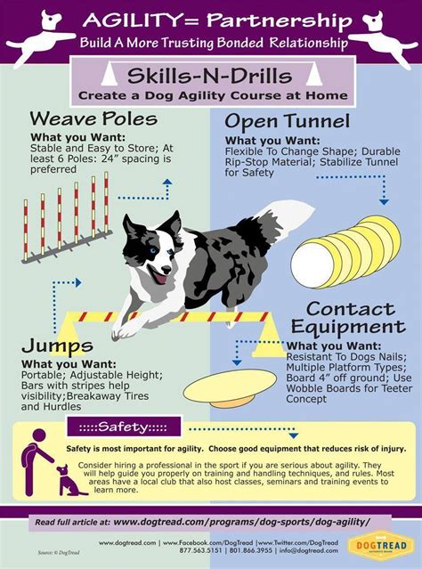 Champion updated dog training for agility Add your comment | Dog agility course, Dog training ...