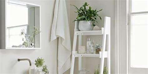 Bathroom Ladder Shelf Ideas – Everything Bathroom