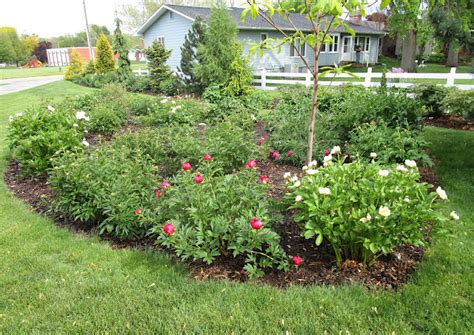 Garden Fancy: My Visit to a Beautiful Garden of Saunders Peonies