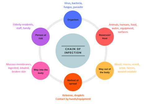 Chain Of Infection Diagram