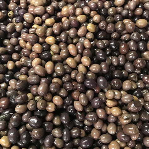 Italian Gaeta Olives – Teitel Brothers