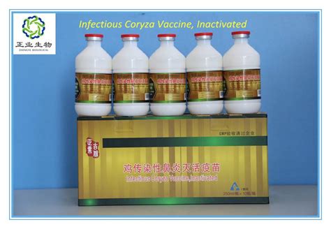 Infectious Coryza Vaccine For Chicken , Inactivated Manufacturer ...