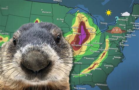 Meet Woody: Michigan's Own Groundhog Meteorologist