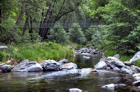 Oak Creek Canyon after the fire Photograph by Thomas Todd | Pixels