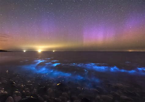 Bioluminescence: Where to go to see this incredible natural display, from Anglesey to New ...