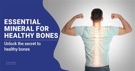 7 Essential Minerals for Healthy Bones