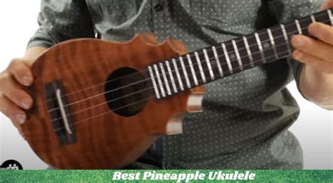 Best Pineapple Ukulele Reviews in 2023: Buying Guide - Ukuleles Review