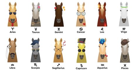 12 Horse Zodiac Signs: Does Your Horse's Sign Match Their Character?