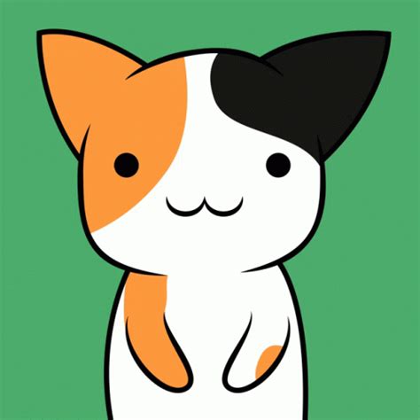 Cute Calico Cat Lick GIF | GIFDB.com