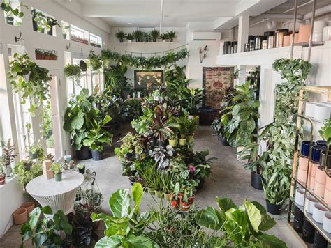 These 7 Awesome Plant Stores Will Help Up Your Interior Design Game | GQ