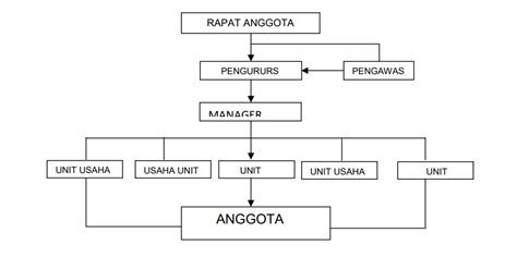 Struktur Koperasi Sekolah | LEMBAR EDU