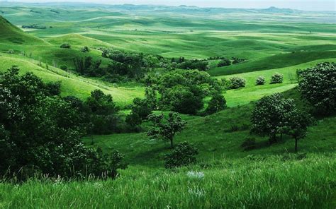 Lovely Irish countryside • HDwallpaperUP | Landscape wallpaper, Green ...