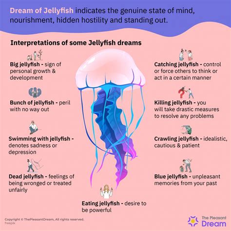 Dream of Jellyfish - Various Intriguing Scenarios & Interpretations