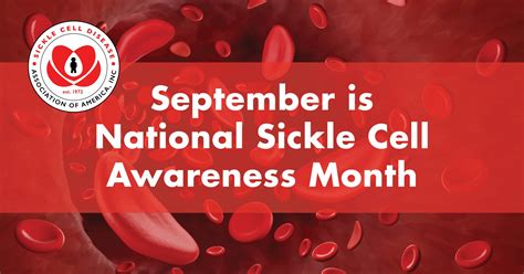 National Sickle Cell Awareness Month: Increasing Understanding and ...