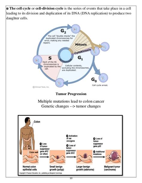 ONCOGENES