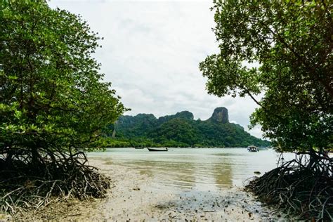 7 Best Railay Beach Hotels for Travelers | Worth the Price - Tourist Sense