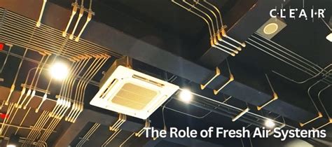 The Importance of Indoor Air Quality: A Guide to Fresh Air Systems