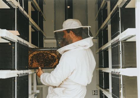 Israeli start-up Beewise is saving honey bees from extinction - The ...