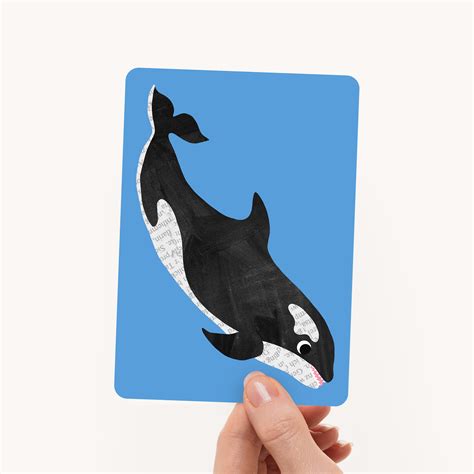 animal cards :: Behance