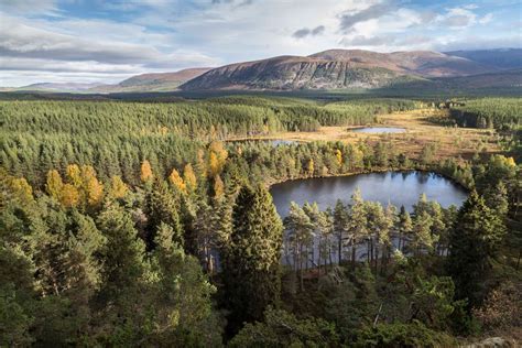 The 7 Best Walks in Cairngorms National Park | Wanderlust