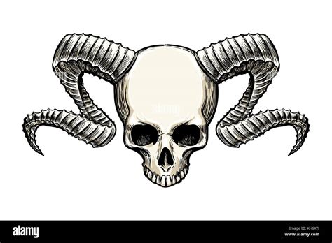 Human skull with ram horns drawn in sketh tattoo style isolated on ...