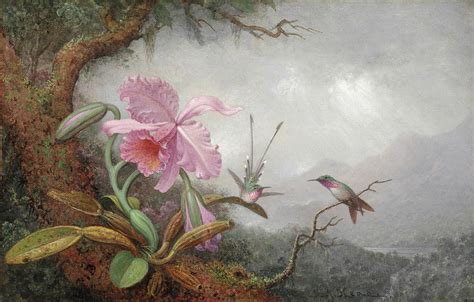 Hummingbirds And Orchids Painting by Martin Johnson Heade - Fine Art America