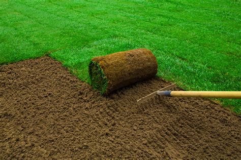 Sod or Grass Seed For Your New Lawn? View All The Pro’s and Con’s For Installing Sod… | D2 ...