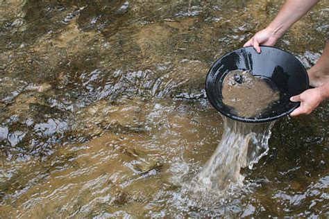 Top 60 Gold Panning Stock Photos, Pictures, and Images - iStock