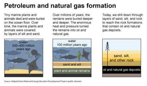 Top 76+ imagen formation of fossil fuels - Abzlocal.mx