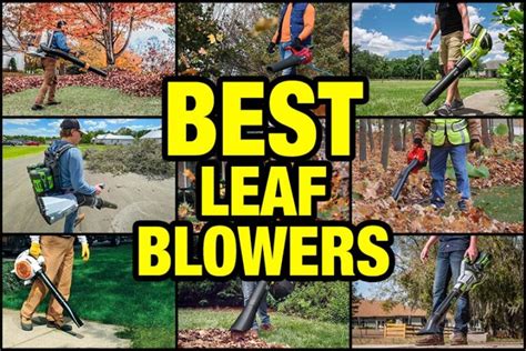 Best Leaf Blower Reviews - Pro Tool Reviews