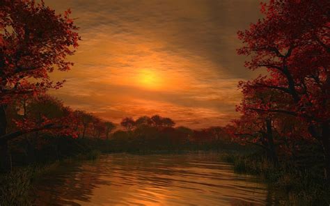 Forest sunset | Landscape wallpaper, Sunset wallpaper, Background hd ...