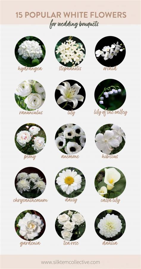 15 Popular White Wedding Flowers - Silk Stem Collective